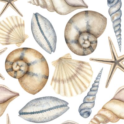 Морской принт с ракушками на белом фоне. Акварельный паттерн