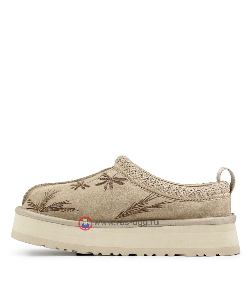 TAZZ Erewhon Camel