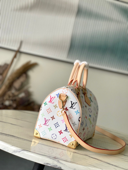 Louis Vuitton Speedy 25