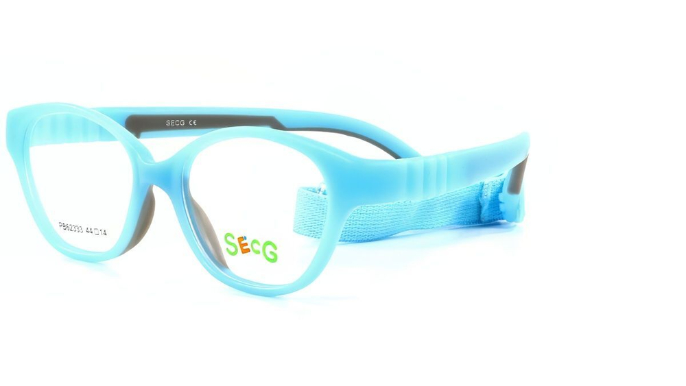 SECG 62333 1 оправа