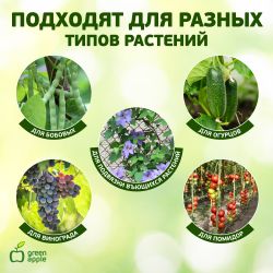 GPCR-2 GREEN APPLE Кольцо фиксатор цепочка