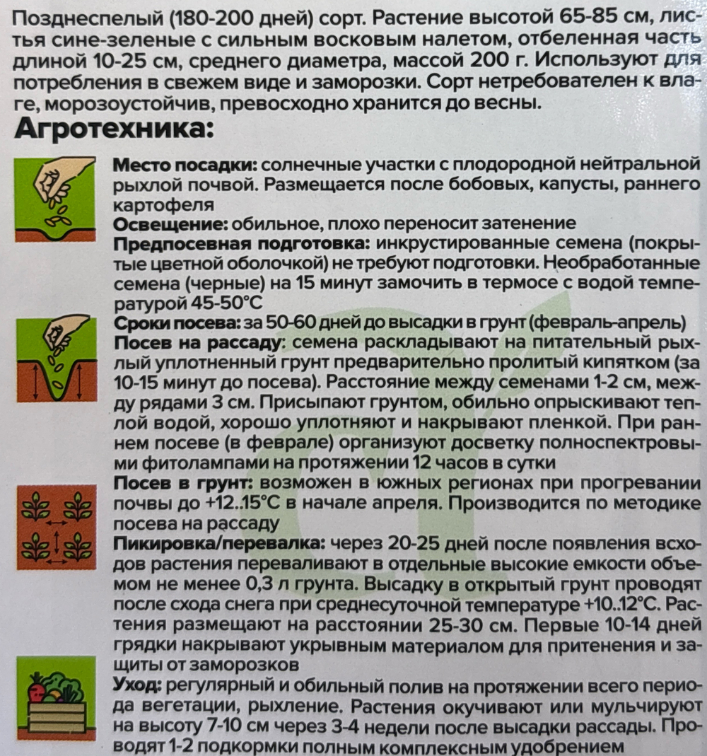 Лук  порей Элефант МС 0,5 г СМЗ-04