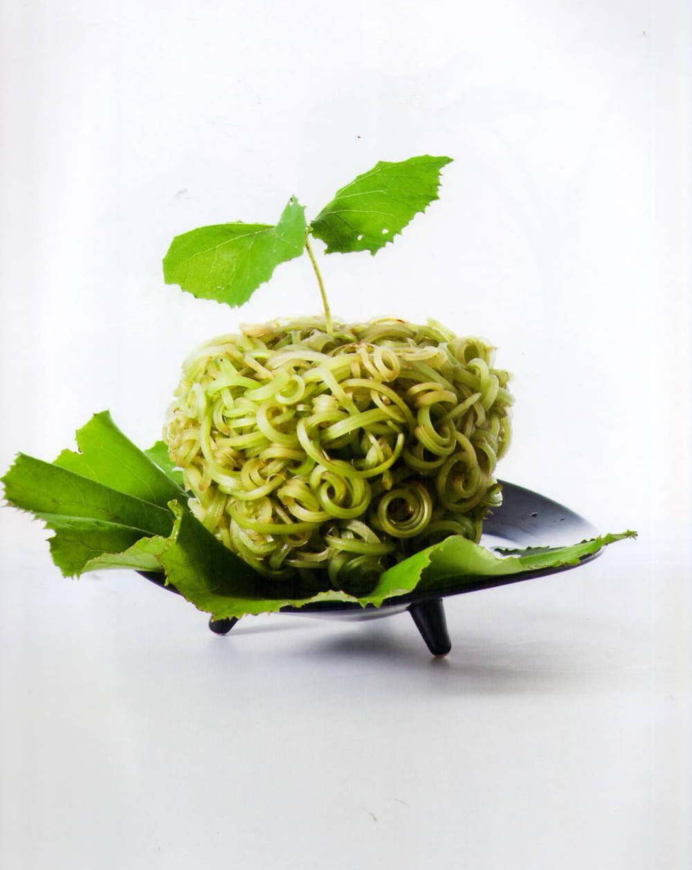 Hiroyuki Oka. Monograph