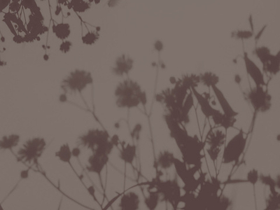 Дизайнерские обои Wall Street Vetve-22