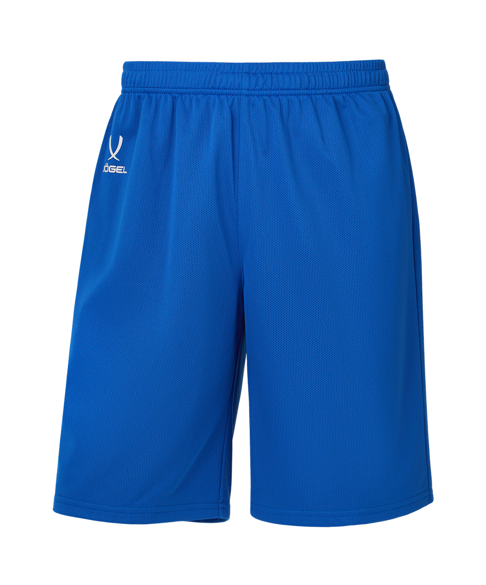 Шорты баскетбольные DIVISION PerFormDRY RBF 2S Shorts, синий