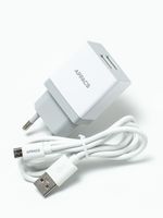 Зарядное устройство 220V APPACS (рус.) APEUT52m, кабель microUSB, 2USB, 2.4A