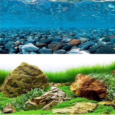 Фон двухсторонний ГОРНАЯ РЕКА / ЗЕЛЕНОЕ МОРЕ 60 см