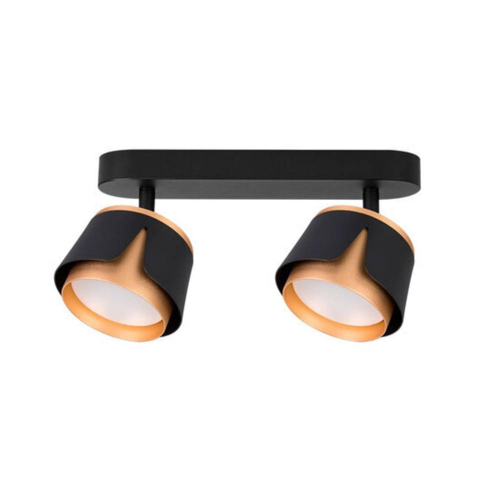 Спот Arte Lamp AMAKS A8028PL-2BK