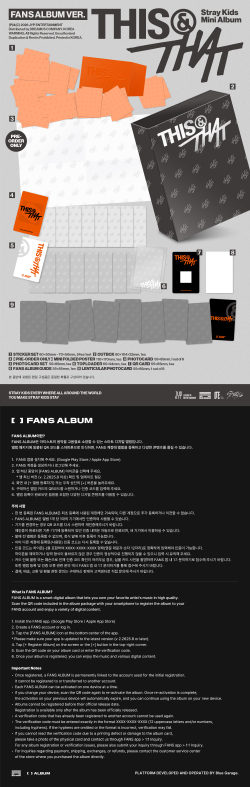 Альбом Stray Kids - THIS & THAT [FANS ALBUM VER.] | с подарками