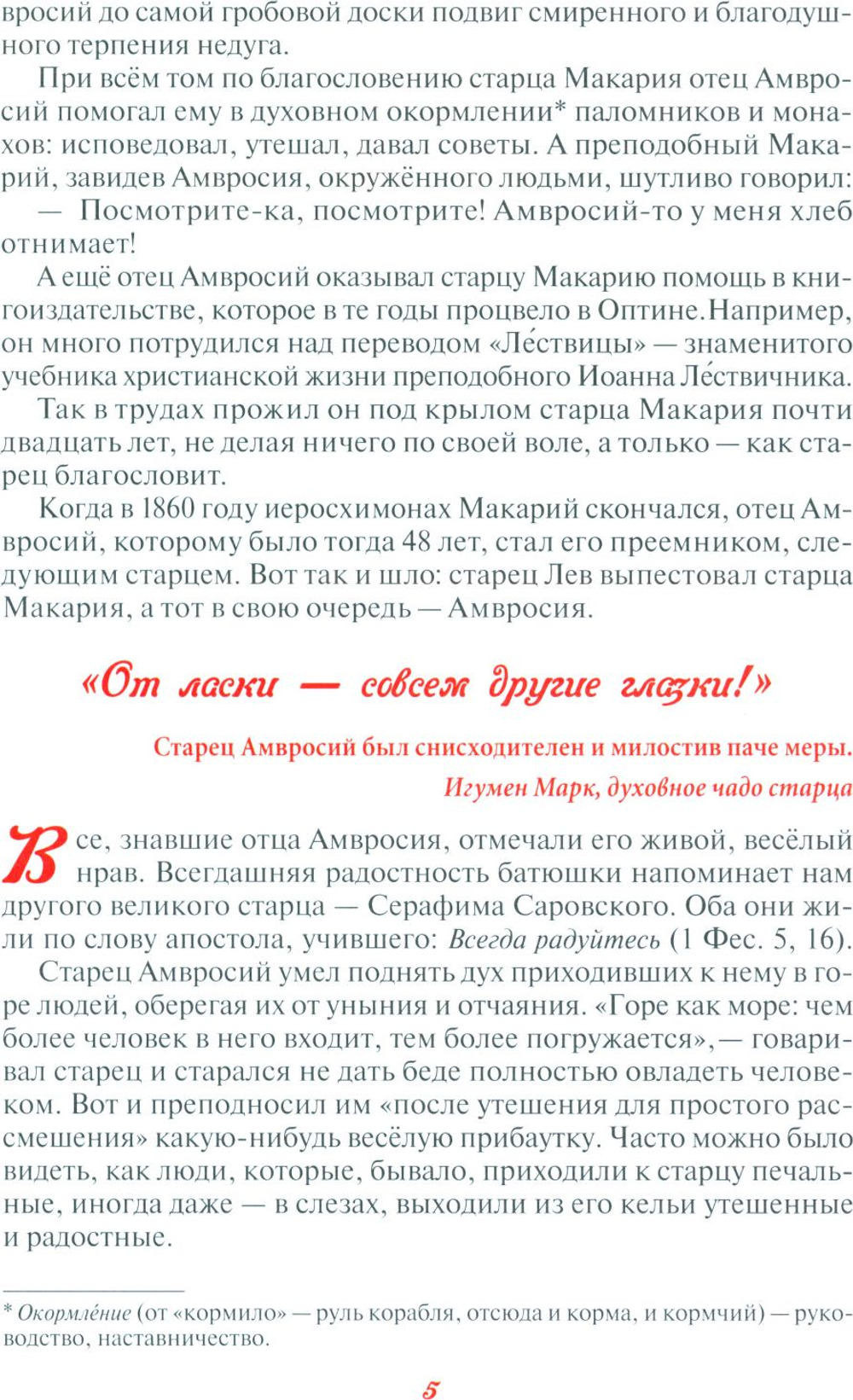 Преодолевая земное притяжение, или Какой дешёвый батюшка!. Рассказы о преподобном Амвросии Оптинском. Н. В. Скоробогатько