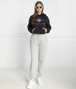 Спортивные штаны Gant - серый(4204921)