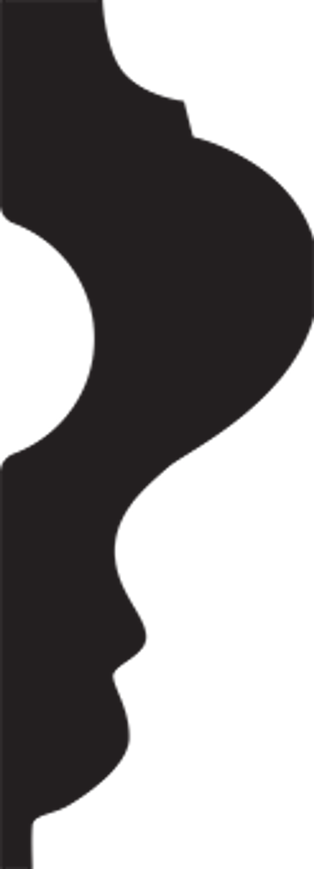 Молдинг гибкий 1.51.301