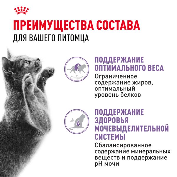Пауч Royal Canin Sterilised для стерилизованных взрослых кошек, мелкие кусочки в соусе
