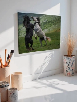 Картина на стену 40 X 50 Кони