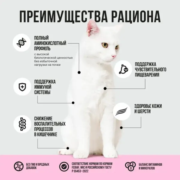 Пауч BOWL WOW для здоровой кожи и шерсти кошек с индейкой и шпинатом, кусочки в соусе