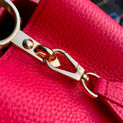 Louis Vuitton Capucines MM
