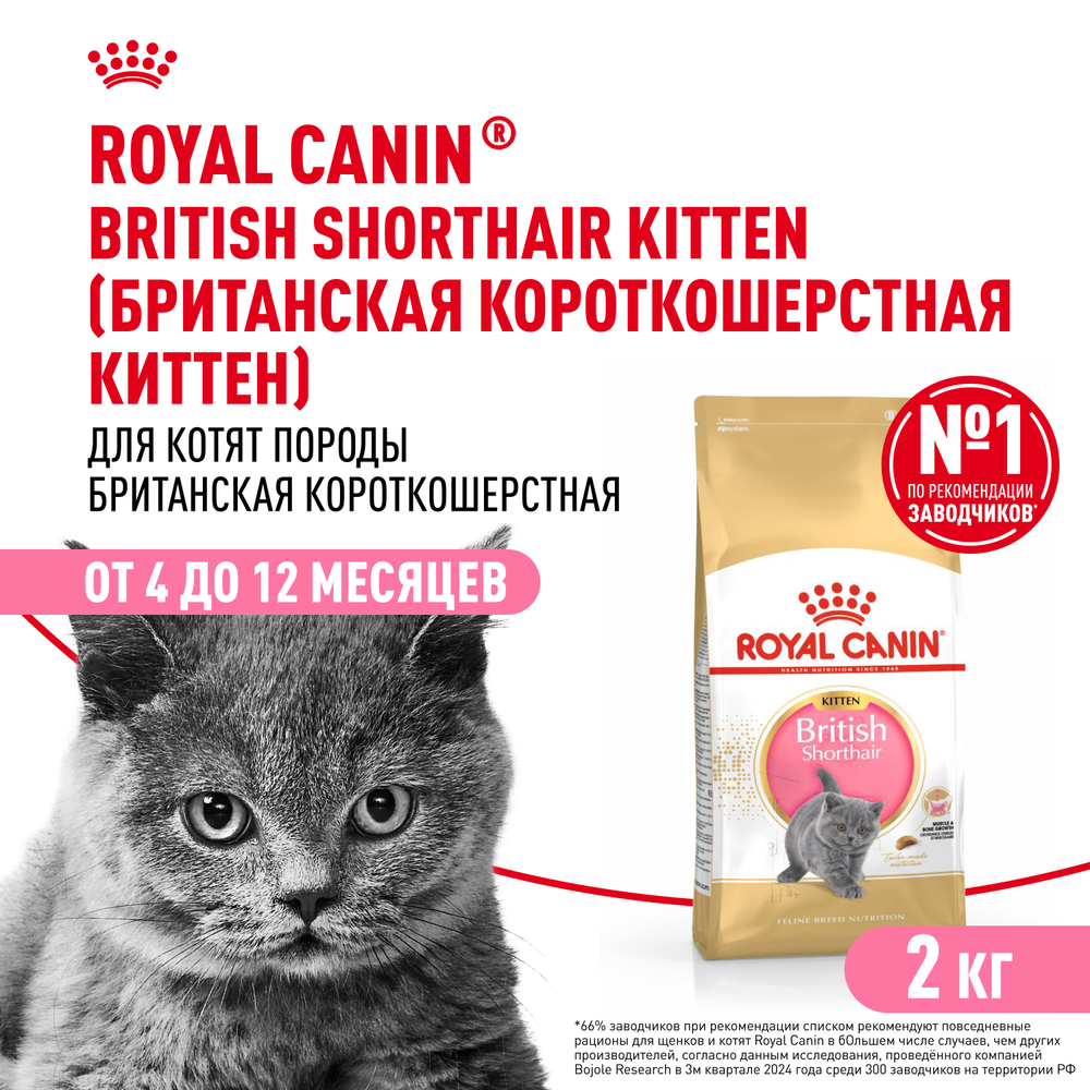Royal Canin British Shorthair Kitten (БРИТАНСКАЯ КОРОТКОШЕРСТНАЯ КИТТЕН) Корм сухой сбалансированный для британских котят 2кг