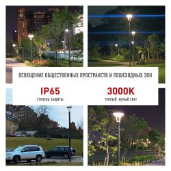 Светильник светодиодный садово-парковый ЭРА SPP-505-0-30K-050 50Вт 3000K IP65 серый | Садово-парковые светильники