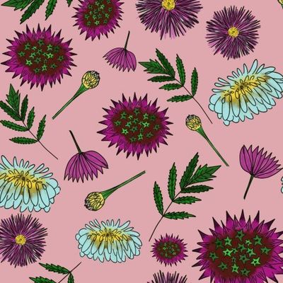 Дачные цветы на розовом фоне