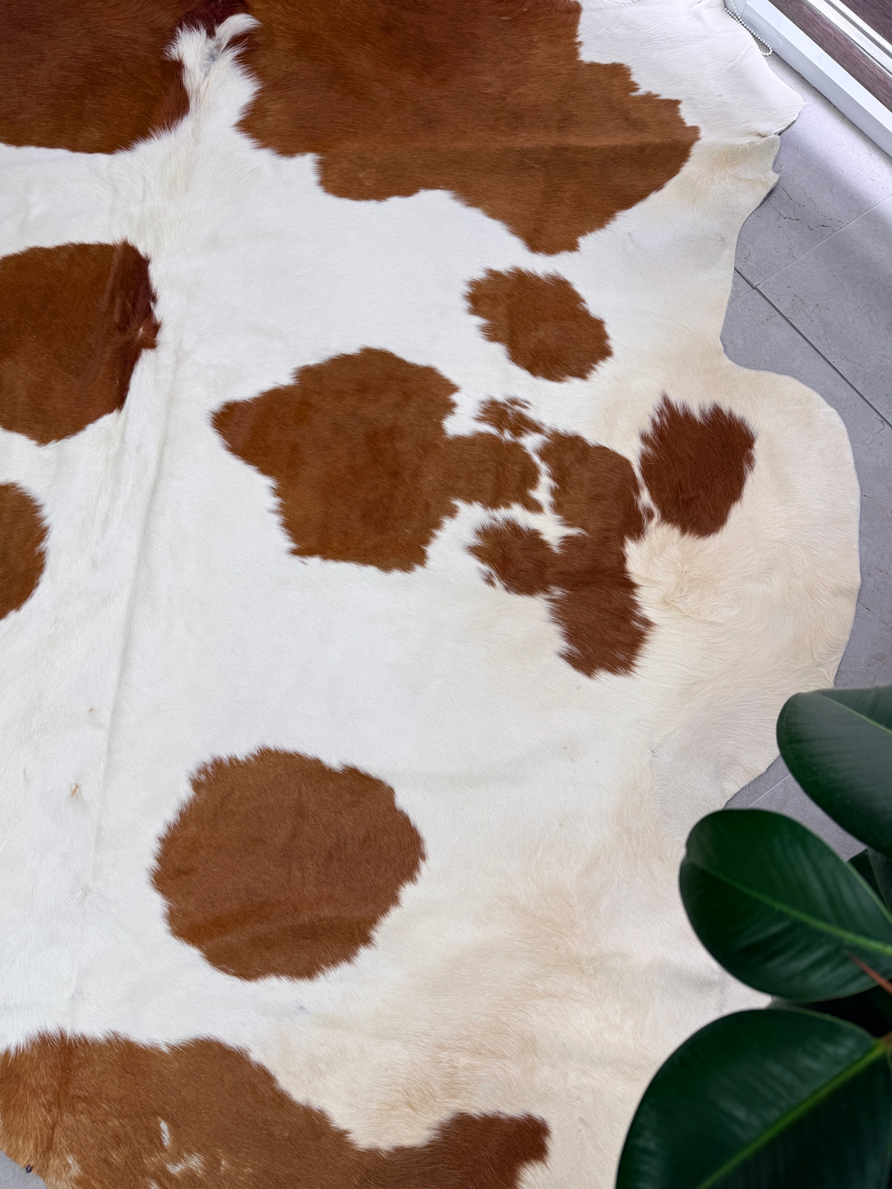 Коровья шкура на пол натуральная. 200 х 190 см