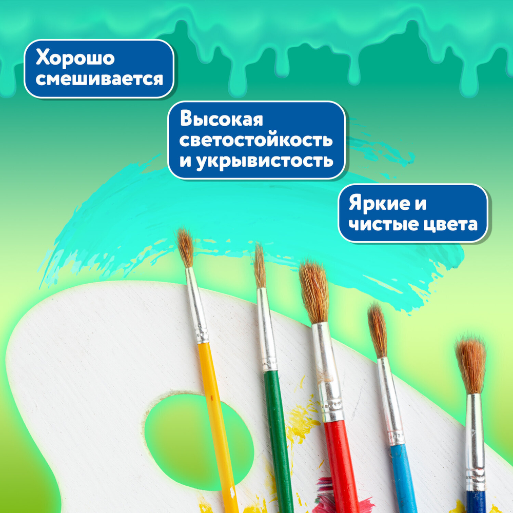 Гуашь BRAUBERG "PREMIUM" 12 цветов по 10 мл (6 штук в упаковке)