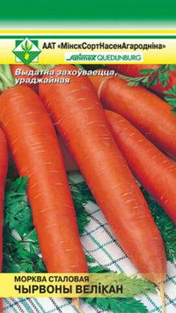 Морковь
