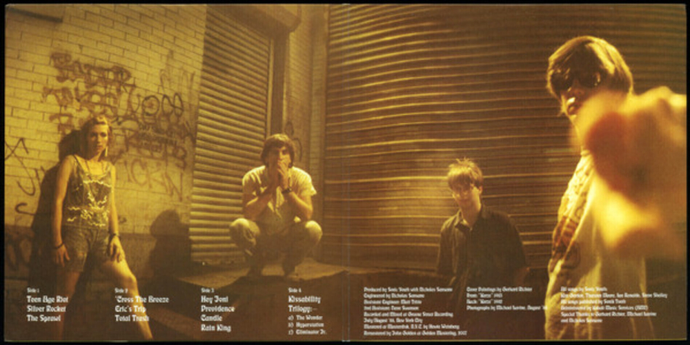 Sonic Youth / Daydream Nation (2LP)