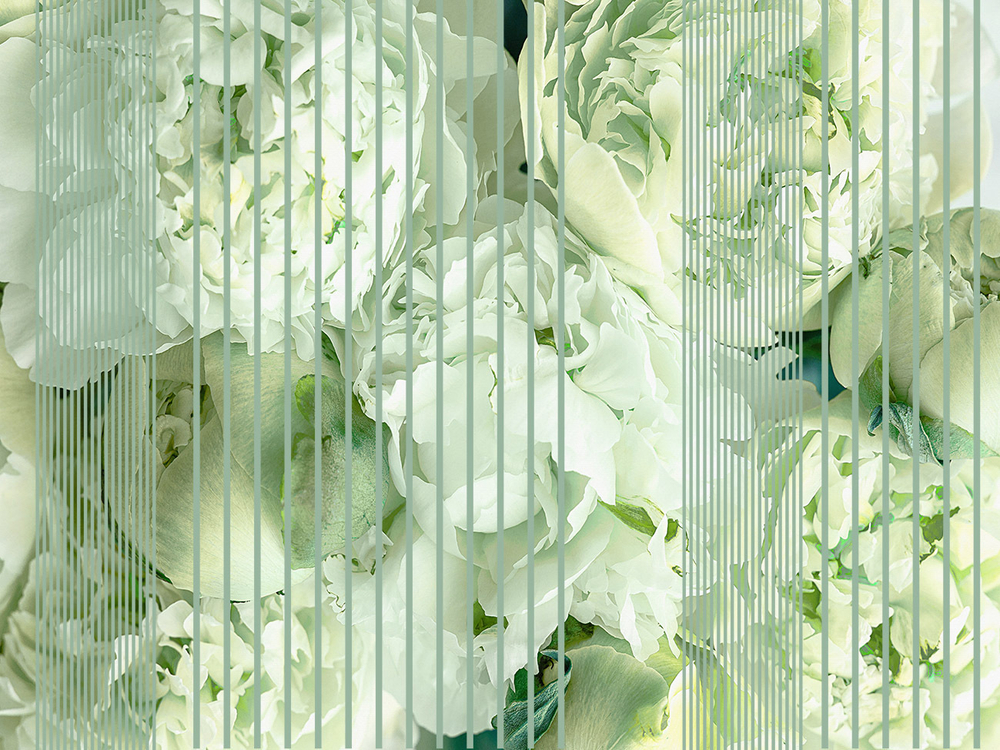 Дизайнерские обои Wall Street GreenDay-22