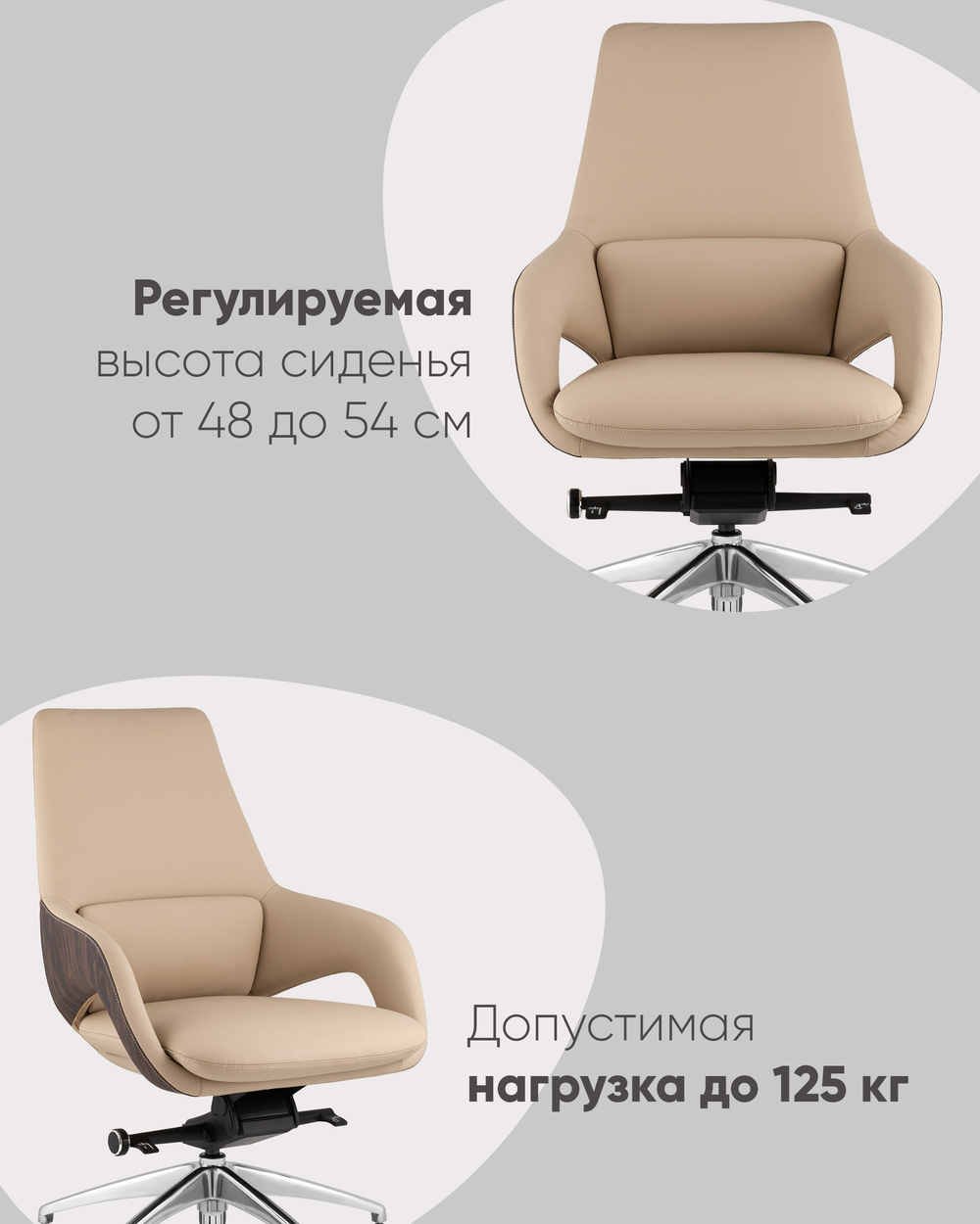 Кресло офисное TopChairs Reign бежевый