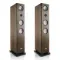Canton Smart Townus 8 Walnut