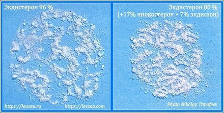 Серпуха-порошок 50 грамм + экдистерон 2365 мг