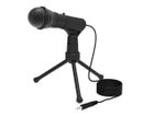 Микрофон Ritmix RDM-120