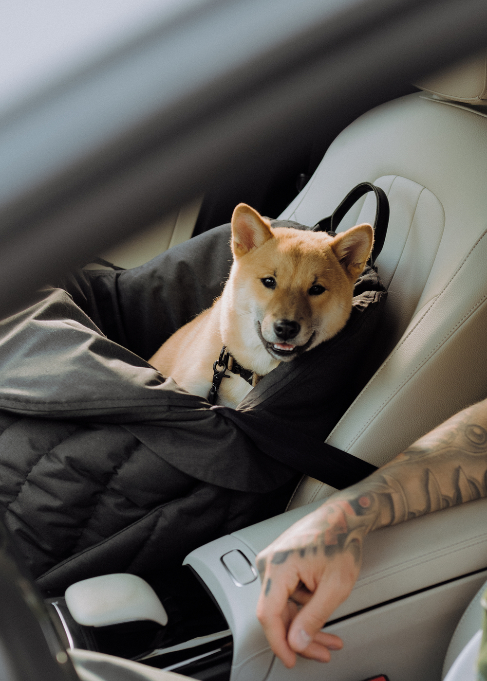 Чехол для автокресла облегчённый, черный