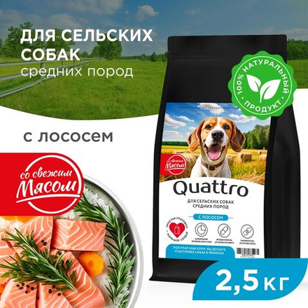 Корм сухой для взрослых собак средних пород, премиум полнорационный комплекс, для живущих в сельской местности, с лососем, 2,5 кг, QUATTRO