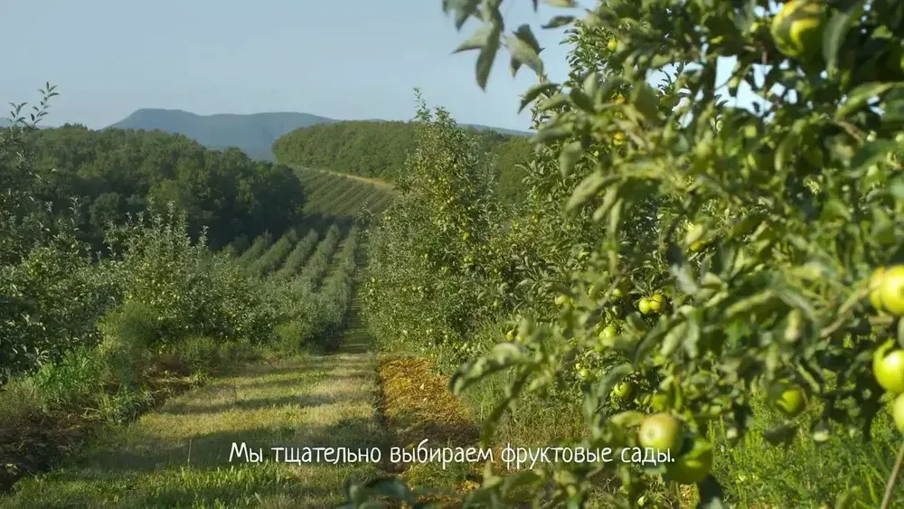 Пюре фруктовое ФрутоНяня с 4 месяцев, яблоко, 100 г