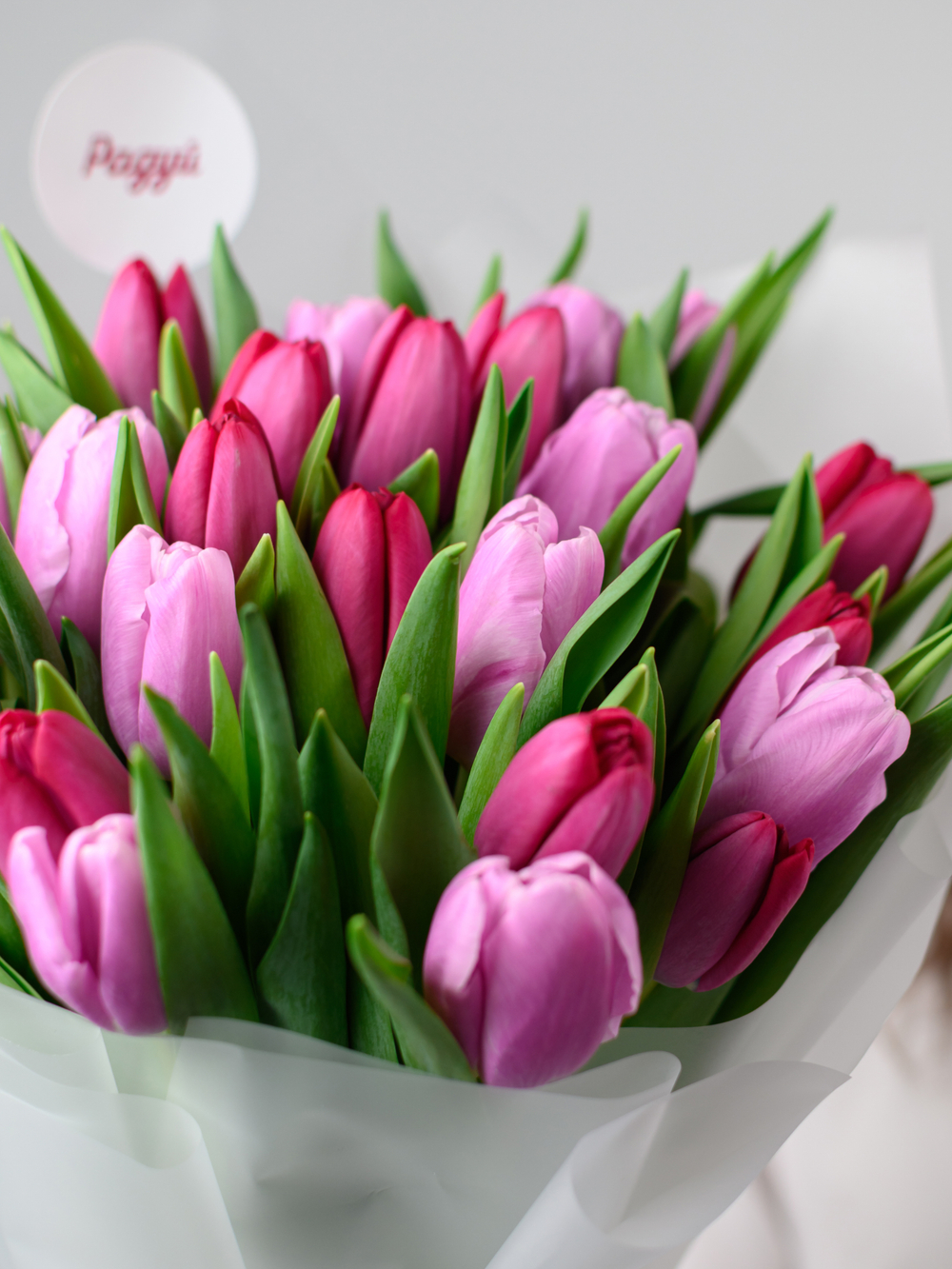 Тюльпаны микс