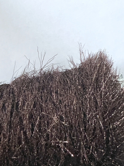 Трикотажная пряжа для вязания YETI реснички мех