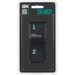 SKANDY Рамка 2-местная SK-F22G стекло графит IEK