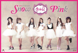 Альбом Apink - SNOW PINK 2nd Mini Album