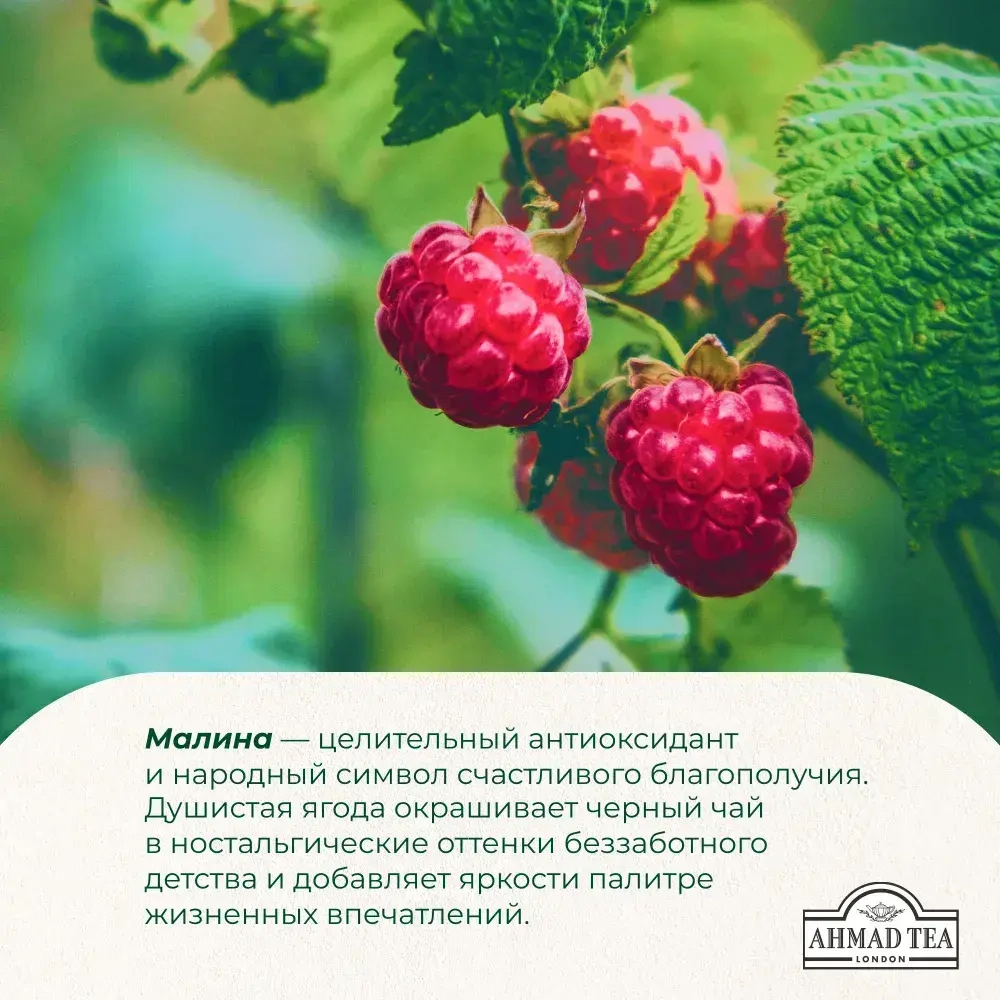Чай в пакетиках Ahmad Tea Raspberry Indulgence, 25 шт