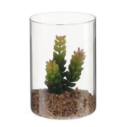 GAEM Цветочная композиция "Суккулент", L12 W12 H25 см