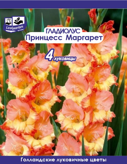 Гладиолус Луковица, Принцесс Маргарет Роуз, 4 шт