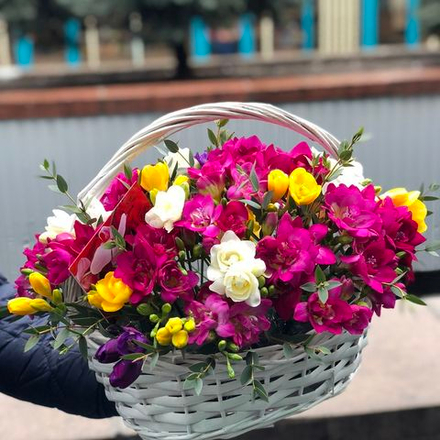 51 Фрезия в корзине