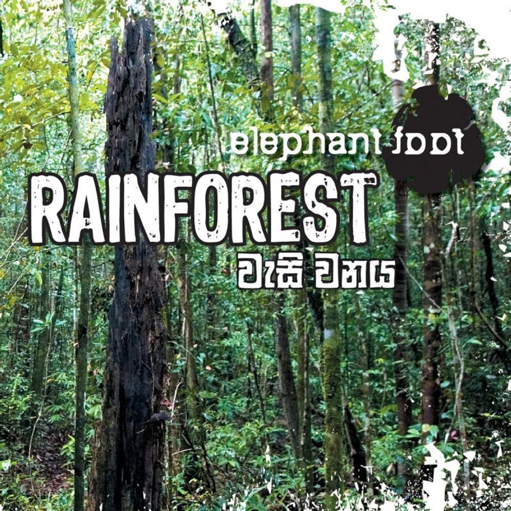 CD: Elephant Foot — «Rainforest» (2008)