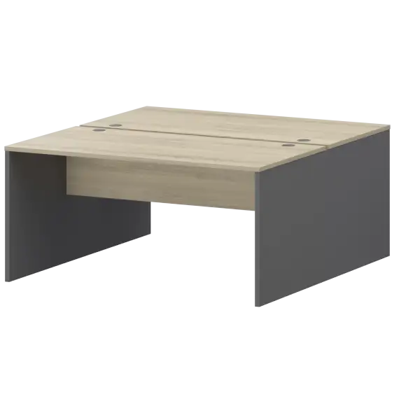 Бенч двойной Тип1 СМСР25-2.14.60  1400x1236x750 Смарт