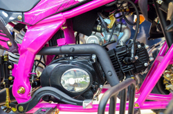 MOTAX ATV T-Rex LUX 125 сс Черно-розовый