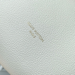 Louis Vuitton Express PM