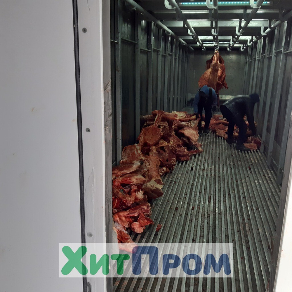Холодильный центральный терминал. Кызыл. р.Тыва