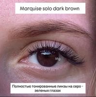 Оттеночные натуральные темно карие линзы для Светлых глаз Marquise Solo Dark brown (темно карие ) /Плюсовые диоптрии для дальнозоркости и близорукости
