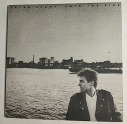 Винтажная виниловая пластинка LP Bryan Adams Into The Fire (Югослоавия 1987)